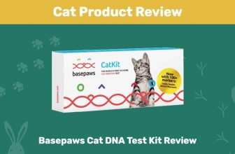 Basepaws Cat DNA Test Kit Review 2022: Is It a Good Value?