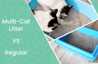 Multi-Cat Litter vs Regular: Which One is Better? Our 2022 Comparison