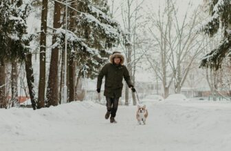 Helpful Tips For Winter Walking With Your Dog