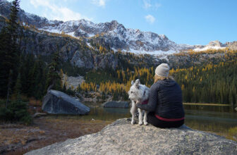 16 Dog-Friendly Hiking Trails in Washington (2023 Guide)
