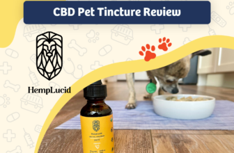 HempLucid Organic Full-Spectrum CBD for Pets Review 2024: Papryus the Chihuahua’s Experience