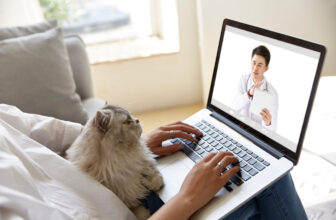 How Can I Talk to a Vet After Hours? Online Options & Helpful Ideas (Vet-Approved)