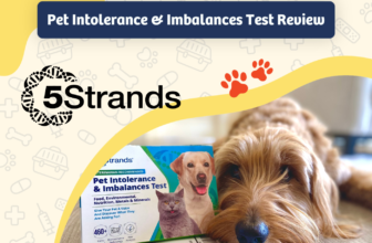 5Strands Pet Intolerances and Imbalances Test Review 2024: Investigate Your Pet’s Health Problems With This At-Home Test